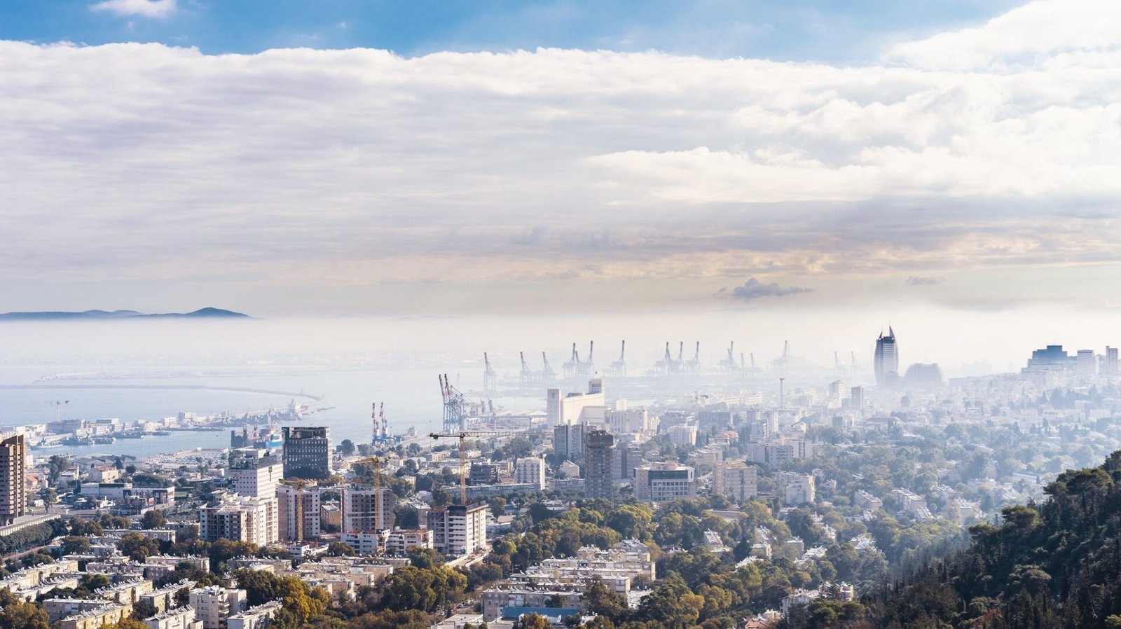 Nidaa's home, Haifa, was a thriving Arab city and intellectual hub pre-1948 (Photo: Peter Horensky, Flickr)
